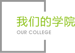 6t体育官网
